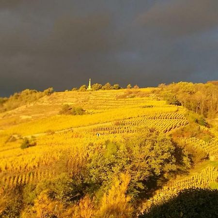 Wine Passion Panoramic Hotel Chavanay Bagian luar foto