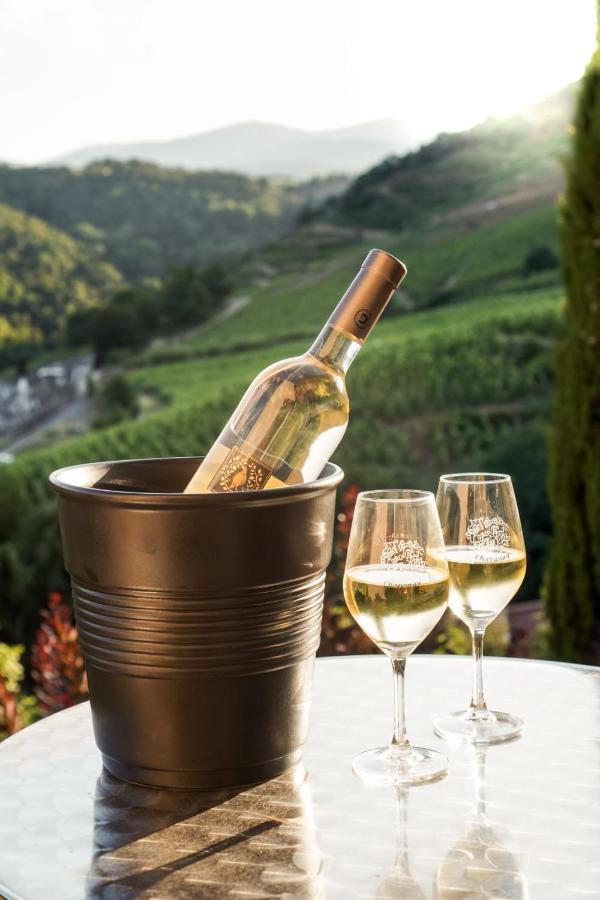 Wine Passion Panoramic Hotel Chavanay Bagian luar foto