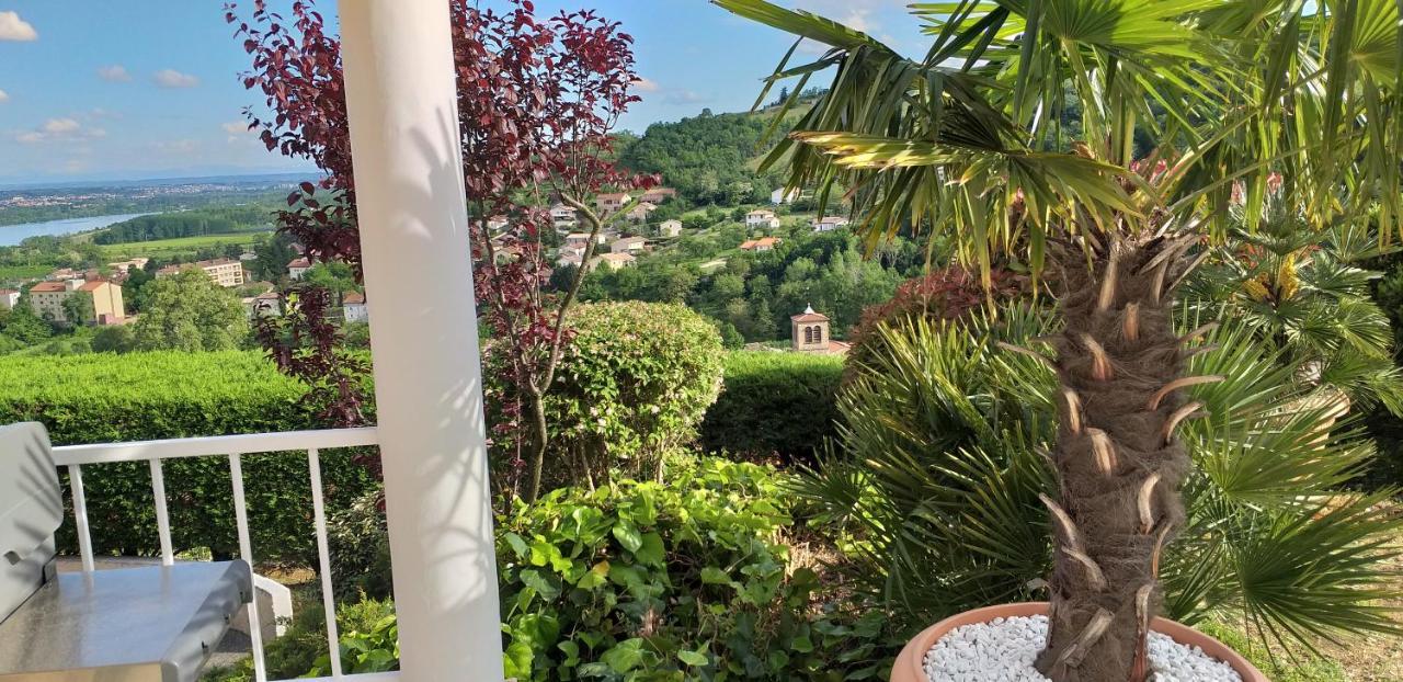 Wine Passion Panoramic Hotel Chavanay Bagian luar foto