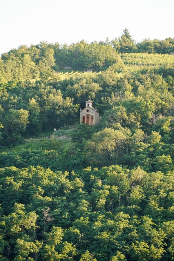 Wine Passion Panoramic Hotel Chavanay Bagian luar foto